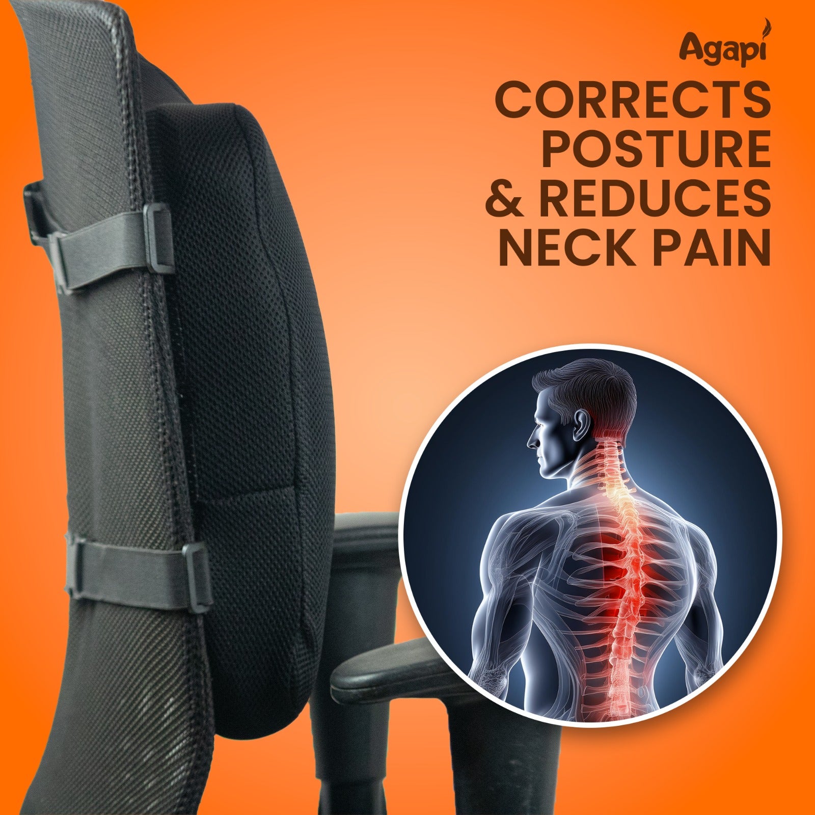 Agapi Pro Back Support